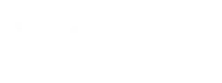 daman games white logo